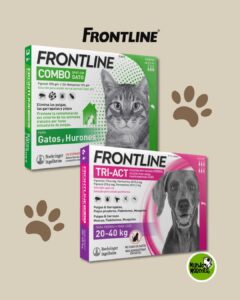 pipetas combo antiparasitarios externos MUNDO MASCOTA GRANADA