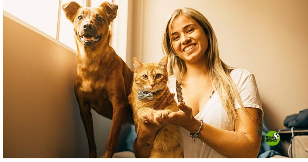 como ser casa de acogida